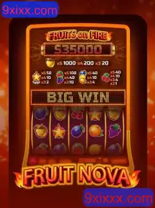 Explorando o Vibrante Mundo de FruitNova